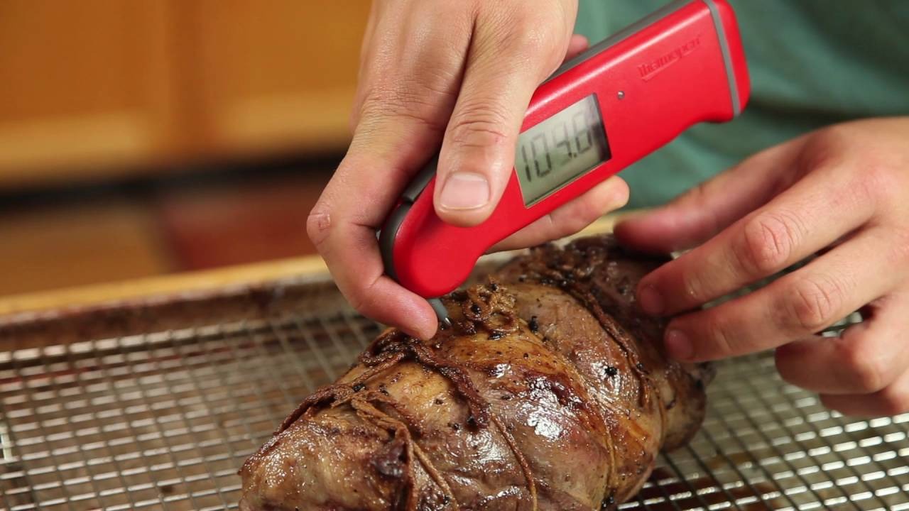 Best In Oven Meat Thermometer: Your Guide to Perfect Roasts Every Time